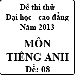 Đề thi thử Đại học năm 2013 – môn Tiếng Anh (Khối D – Đề 08)