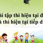 Bài tập thì hiện tại đơn và thì hiện tại tiếp diễn