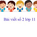 Bài văn mẫu Lớp 11: Bài viết số 2 (Đề 1 đến Đề 3)