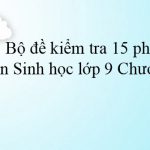 Bộ đề kiểm tra 15 phút môn Sinh học lớp 9 Chương 2