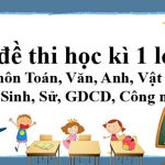 Bộ đề thi học kì 1 lớp 11 năm 2019 – 2020