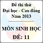 Đề thi thử Đại học năm 2013 – môn Sinh học (Đề 11)