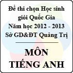 Đề thi chọn đội tuyển Học sinh giỏi Quốc Gia tỉnh Quảng Trị năm 2012 – 2013 môn Tiếng Anh