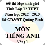 Đề thi học sinh giỏi lớp 12 THPT tỉnh Quảng Bình năm học 2012 – 2013 môn Tiếng Anh – Vòng 1 (Có đáp án)