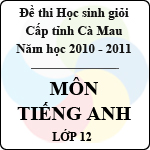 Đề thi học sinh giỏi tỉnh Cà Mau lớp 12 năm 2011 môn Tiếng Anh