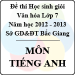 Đề thi học sinh giỏi Văn hóa lớp 7 tỉnh Bắc Giang năm học 2012 – 2013 môn Tiếng Anh – Có đáp án