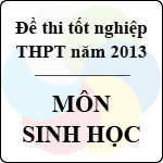 Đề thi tốt nghiệp THPT năm 2013 môn Sinh học (Hệ Phổ Thông) – Có đáp án