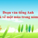 Đoạn văn tiếng Anh tả về một mùa trong năm (7 mẫu)