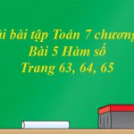 Giải bài tập Toán 7 Bài 5: Hàm số