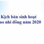 Kịch bản sinh hoạt Sao nhi đồng năm 2020