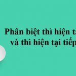 Phân biệt thì hiện tại đơn và thì hiện tại tiếp diễn