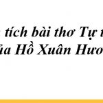 Văn mẫu lớp 11: Phân tích bài thơ Tự tình 2 của Hồ Xuân Hương