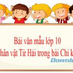 Phân tích nhân vật Từ Hải trong bài Chí khí anh hùng (Dàn ý + 11 mẫu)