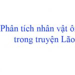 Văn mẫu lớp 8: Phân tích nhân vật ông giáo trong truyện ngắn Lão Hạc (Dàn ý + 9 mẫu)