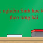 Trắc nghiệm Sinh học lớp 12