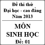 Đề thi thử Đại học năm 2013 – môn Sinh học (Đề 01)