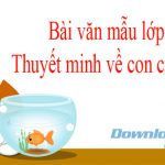 Thuyết minh về con cá chép (Dàn ý + 3 Mẫu)