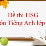 Bộ đề thi học sinh giỏi môn Tiếng Anh lớp 10 (Có đáp án)