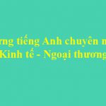 Từ vựng tiếng Anh chuyên ngành Kinh tế – Ngoại thương