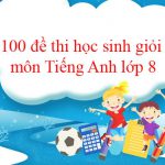 100 đề thi học sinh giỏi môn Tiếng Anh lớp 8