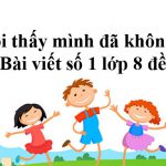 Bài viết số 1 lớp 8 đề 3: Tôi thấy mình đã khôn lớn