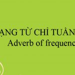 Trạng từ chỉ tần suất: Vị trí, cách sử dụng và bài tập (Có đáp án)