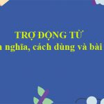 Trợ động từ: Định nghĩa, cách dùng và bài tập