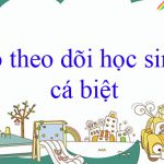 Sổ theo dõi học sinh cá biệt