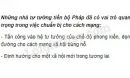 Những nhà tư tưởng tiến bộ Pháp đã có vai trò như thế nào trong việc chuẩn bị cho cách mạng?