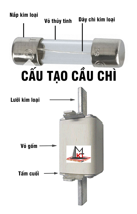 cau-tao-cau-chi