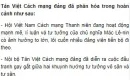 Tân Việt Cách mạng đảng đã phân hóa trong hoàn cảnh nào?