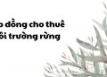 Hợp đồng cho thuê môi trường rừng