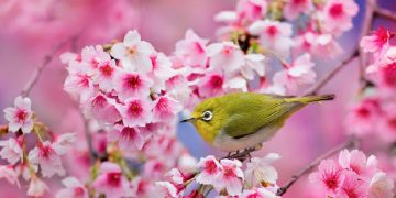 Hình ảnh người cầm súng, người ra đồng gợi cho em nghĩ đến ai?