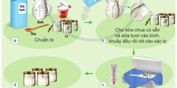Giáo án mầm non: Quy trình làm sữa chua bằng cách thủ công