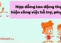 Hợp đồng lao động thực hiện công việc hỗ trợ, phục vụ