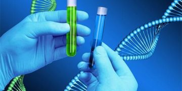 Đề thi thử THPT Quốc gia năm 2025 môn Sinh học trường THPT Hải Lăng, Quảng Trị