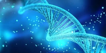 Giáo án PowerPoint Sinh học 12 Bài 5: Công nghệ di truyền