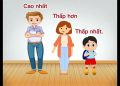 Giáo án mầm non: So sánh chiều cao 3 đối tượng và sắp xếp theo thứ tự tăng dần