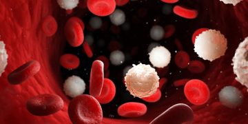 Giáo án PowerPoint Khoa học tự nhiên 8 Bài 30: Khái quát về cơ thể người