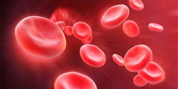 Giáo án PowerPoint Khoa học tự nhiên 8 Bài 34: Hệ hô hấp ở người