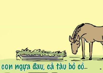 Dẫn chứng câu tục ngữ Một con ngựa đau cả tàu bỏ cỏ (3 mẫu)